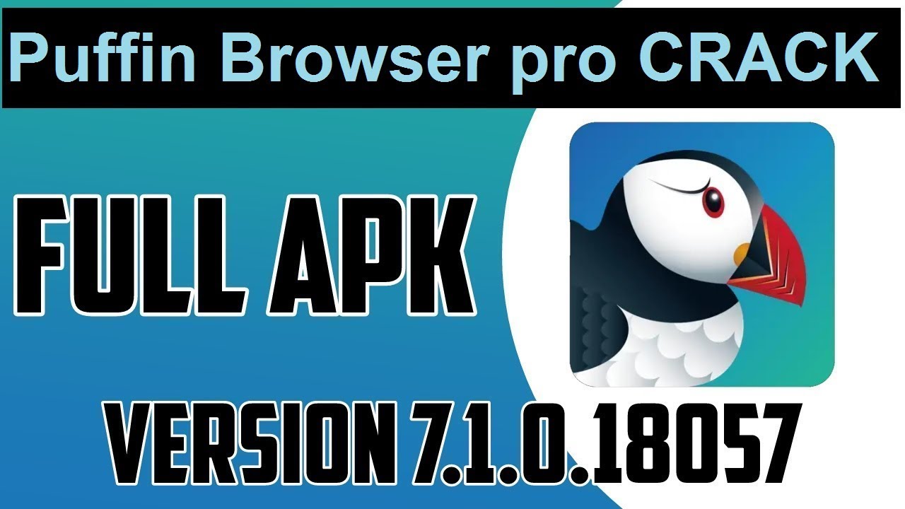 puffin browser for pc 10
